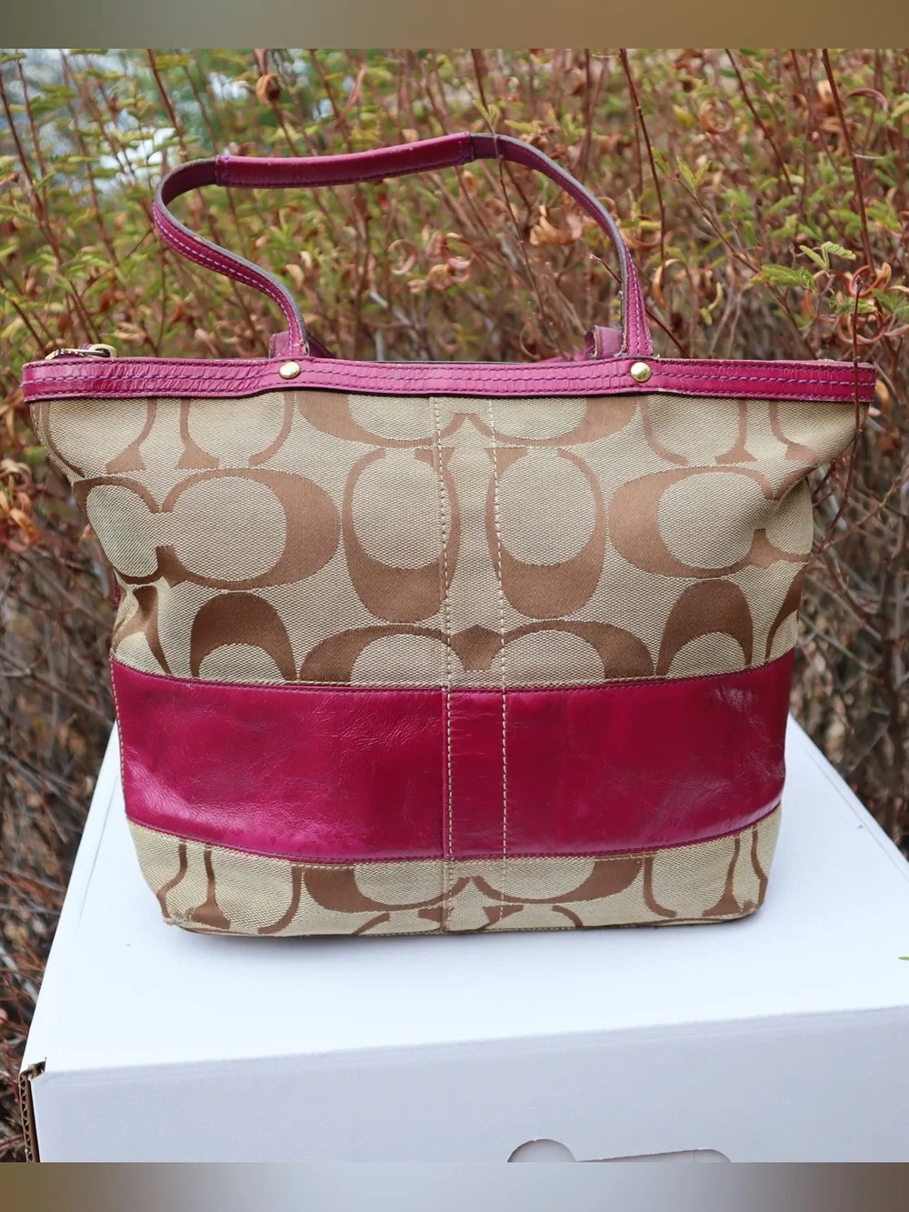 Coach Signature Berry Stripe Patent Leather Tote Shoulder Bag, Berry Red/Pinkish